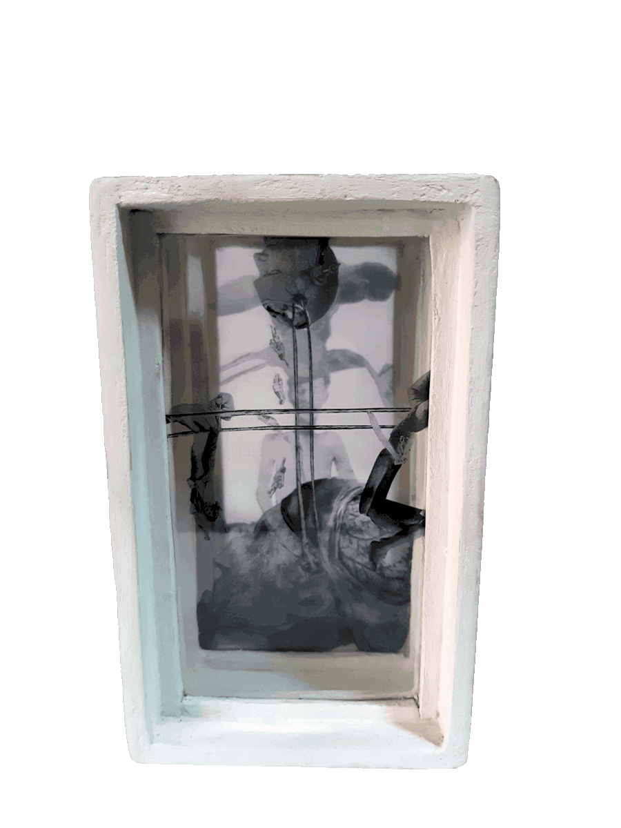 Muestra de las cajas contenedoras de los collages.